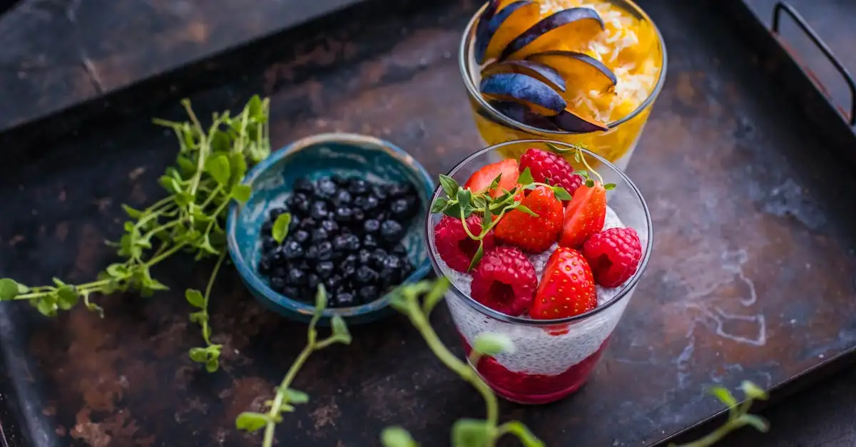 Chia pudding basis