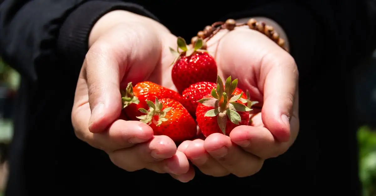 Fruit als tussendoor