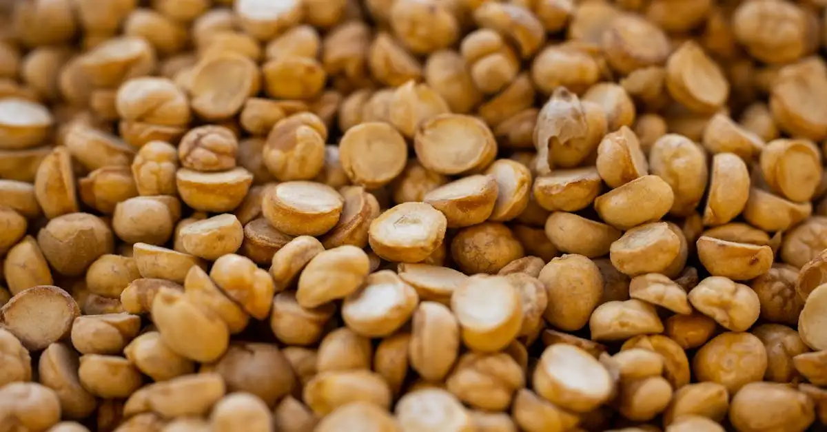 Geroosterde kikkererwten snack