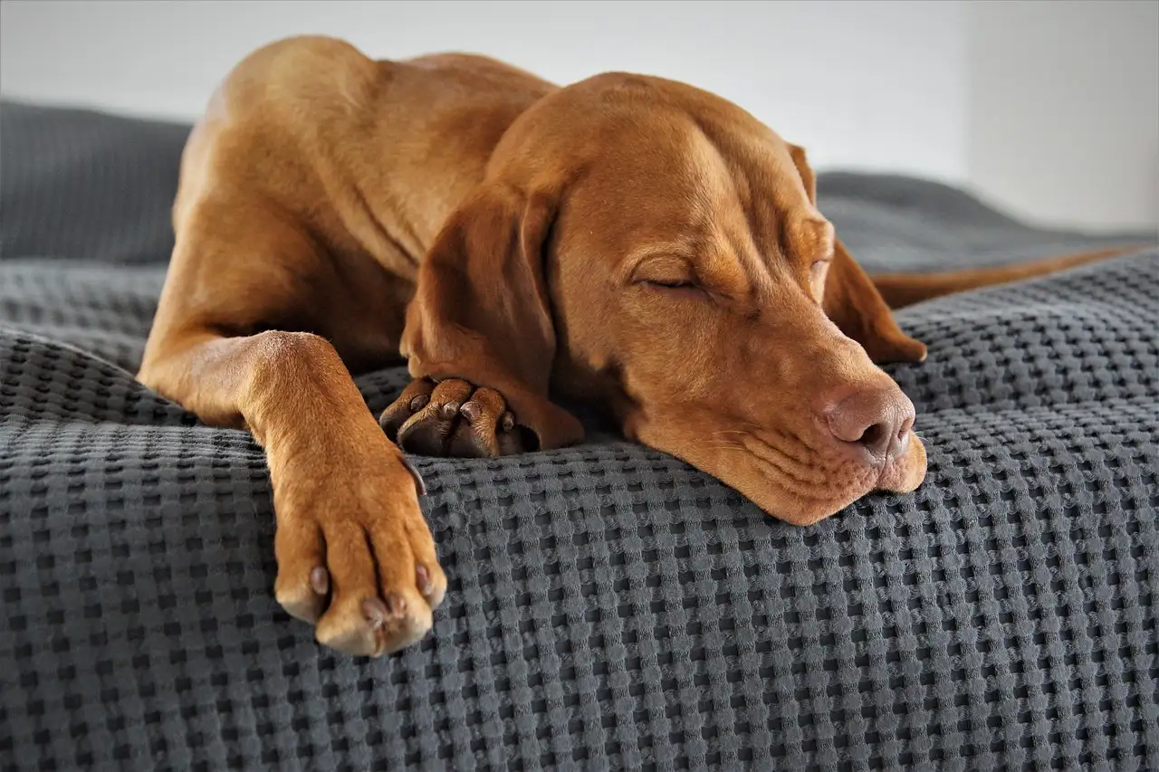 Napper niet knapper?