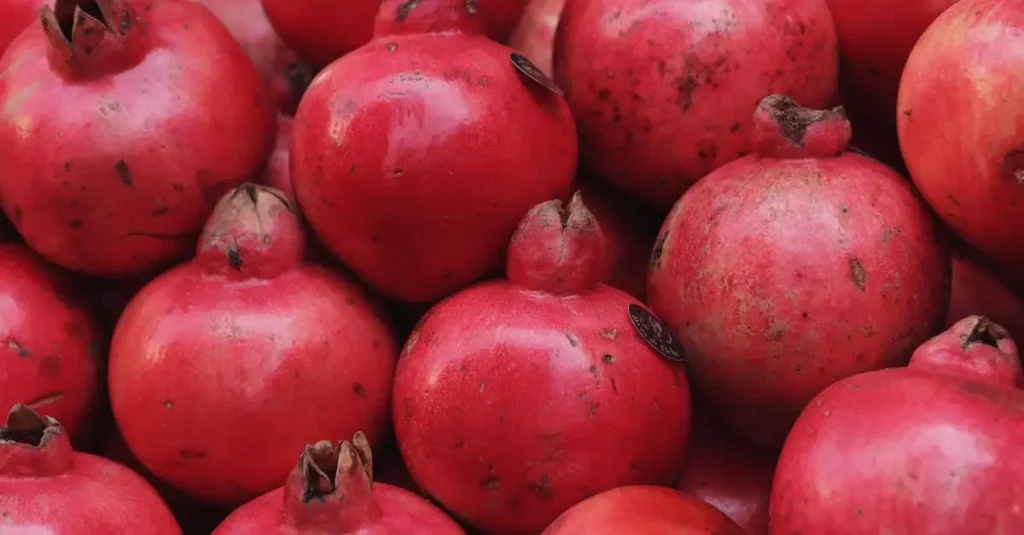 Plantaardig eten op reis
