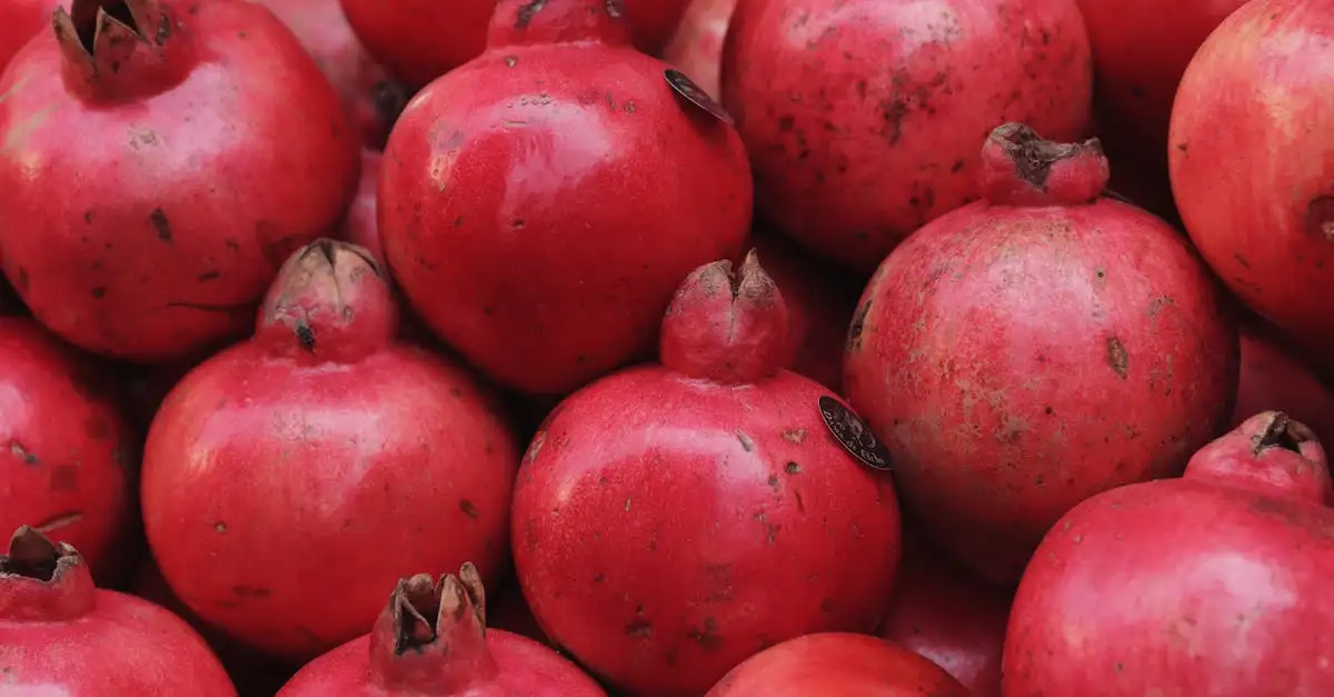 Plantaardig eten op reis