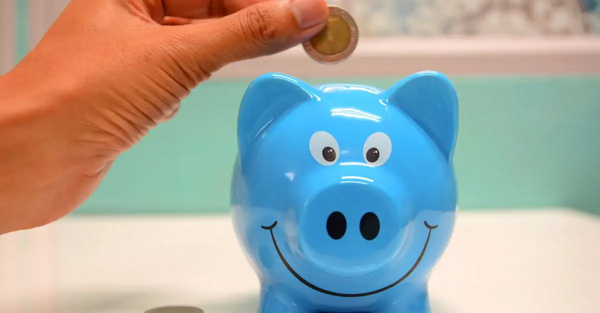 Budget vriendelijk afvallen