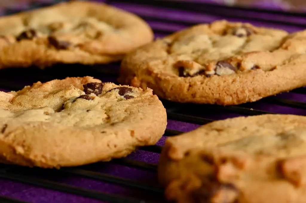 Calorieën zonder tellen