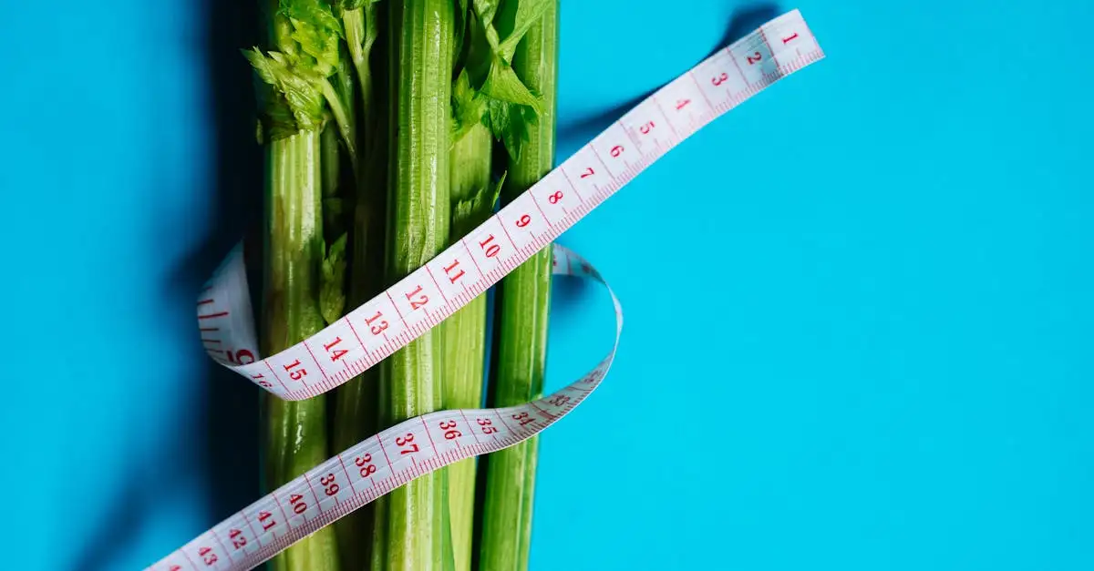 Calorie&euml;n zonder tellen